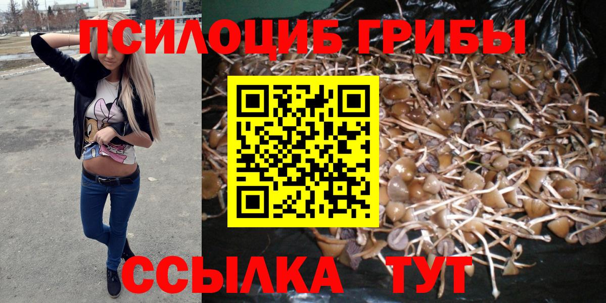 Псилоцибиновые грибы GOLDEN TEACHER  купить наркотик  Минеральные Воды  Вход с VPN  Псилоцибиновые грибы Magic Shrooms 